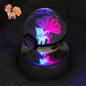 Pokemon 3D Crystal Ball Figure Toys Mimikyu Charizard Gengar Cubone Rayquaza Figurines Pokeball with LED Light Model Doll Gifts